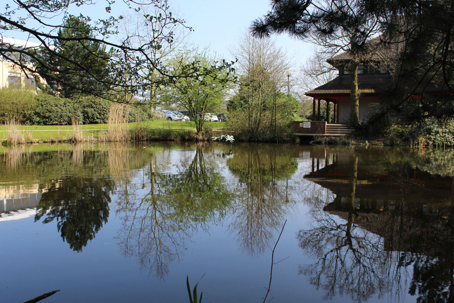 Attractive landscaping and water feature at Birmingham Business Park - Solihull office market